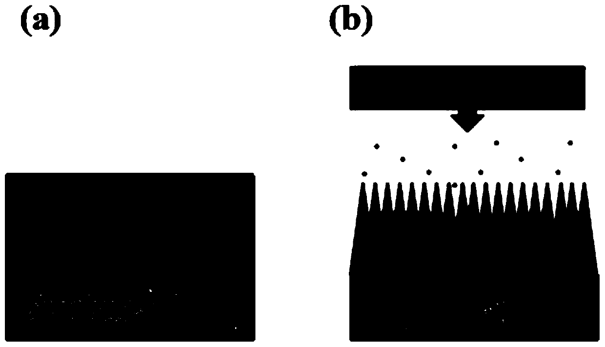 A kind of men coating with high specific surface area and its preparation method and supercapacitor