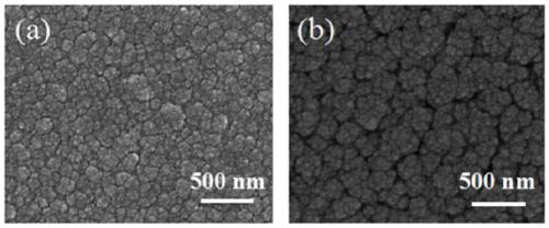 A kind of men coating with high specific surface area and its preparation method and supercapacitor