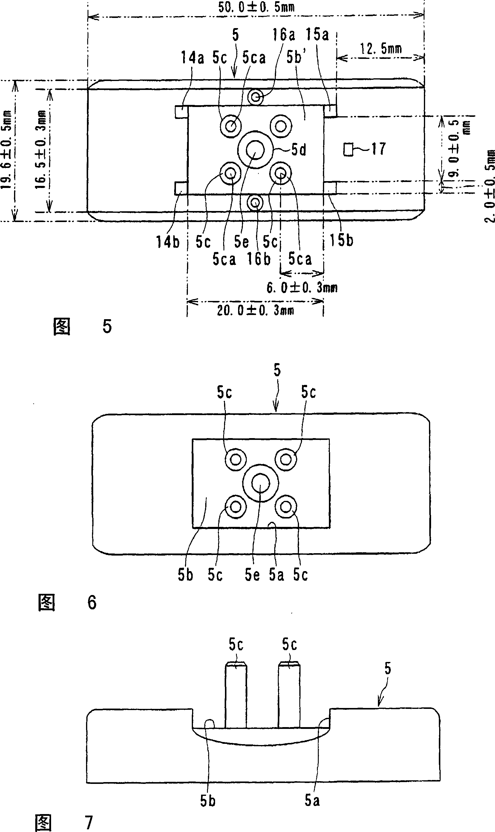 Circular fluorescent lamp and lighting apparatus