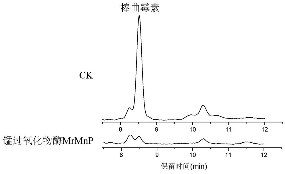 Application and method of manganese peroxidase in degradation of patulin