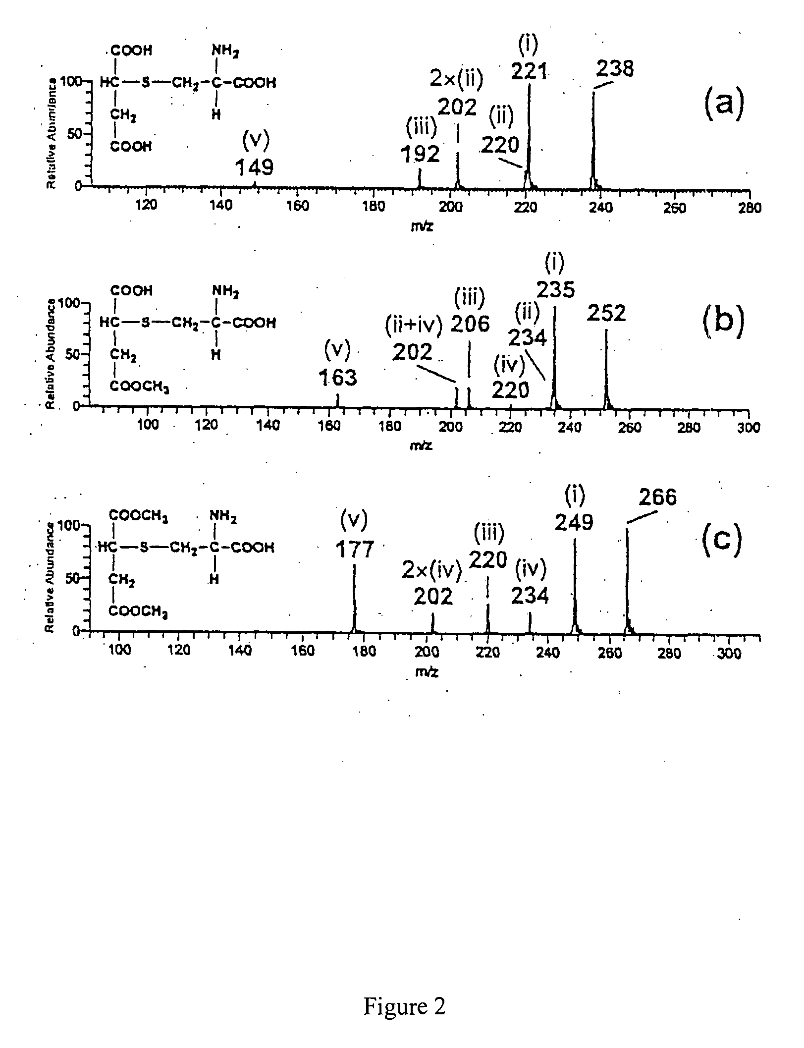 Thiosuccinic Acid Derivatives and the Use Thereof