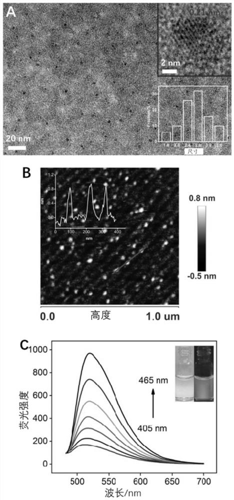 Nitrogen-doped graphene quantum dot-iron ion composite nano-enzyme and preparation and application thereof