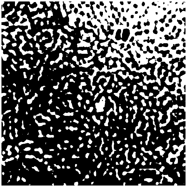 Medicine for treating non-alcoholic fatty liver disease as well as preparation method and detection method of medicine