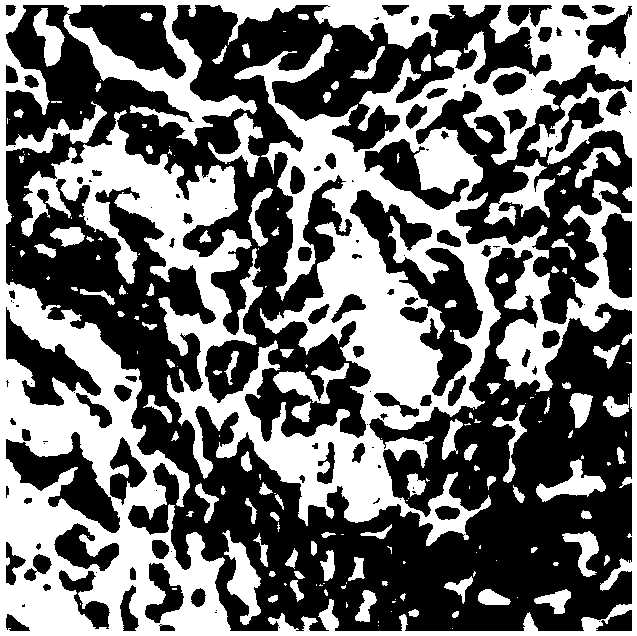 Medicine for treating non-alcoholic fatty liver disease as well as preparation method and detection method of medicine