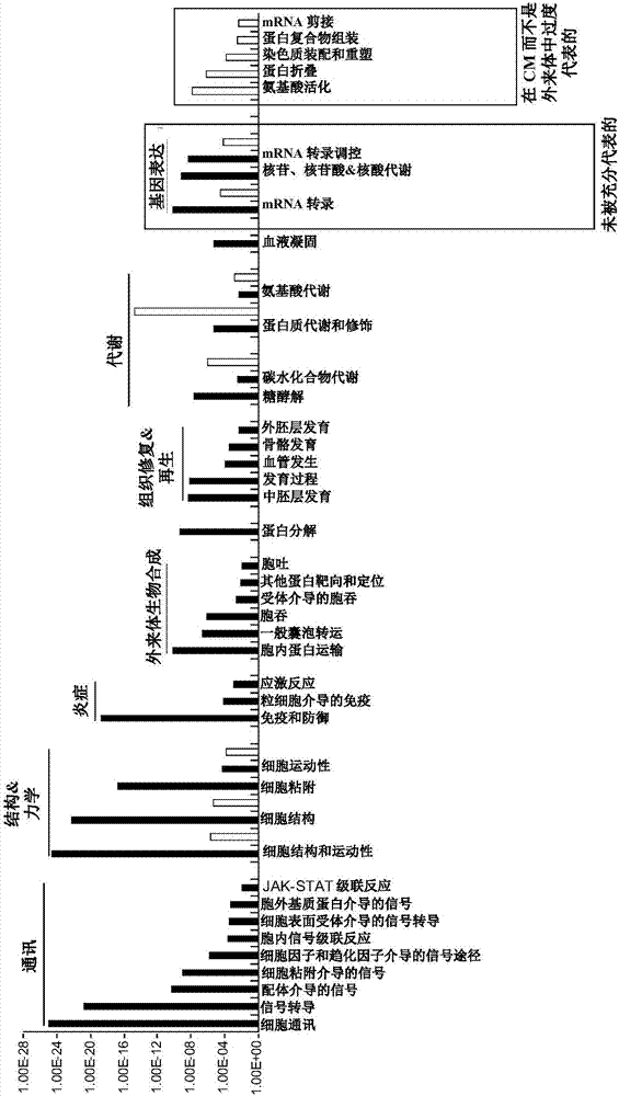 Methods of detecting therapeutic exosomes