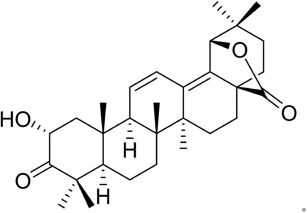 Pharmaceutical composition of vesalium and medical application thereof