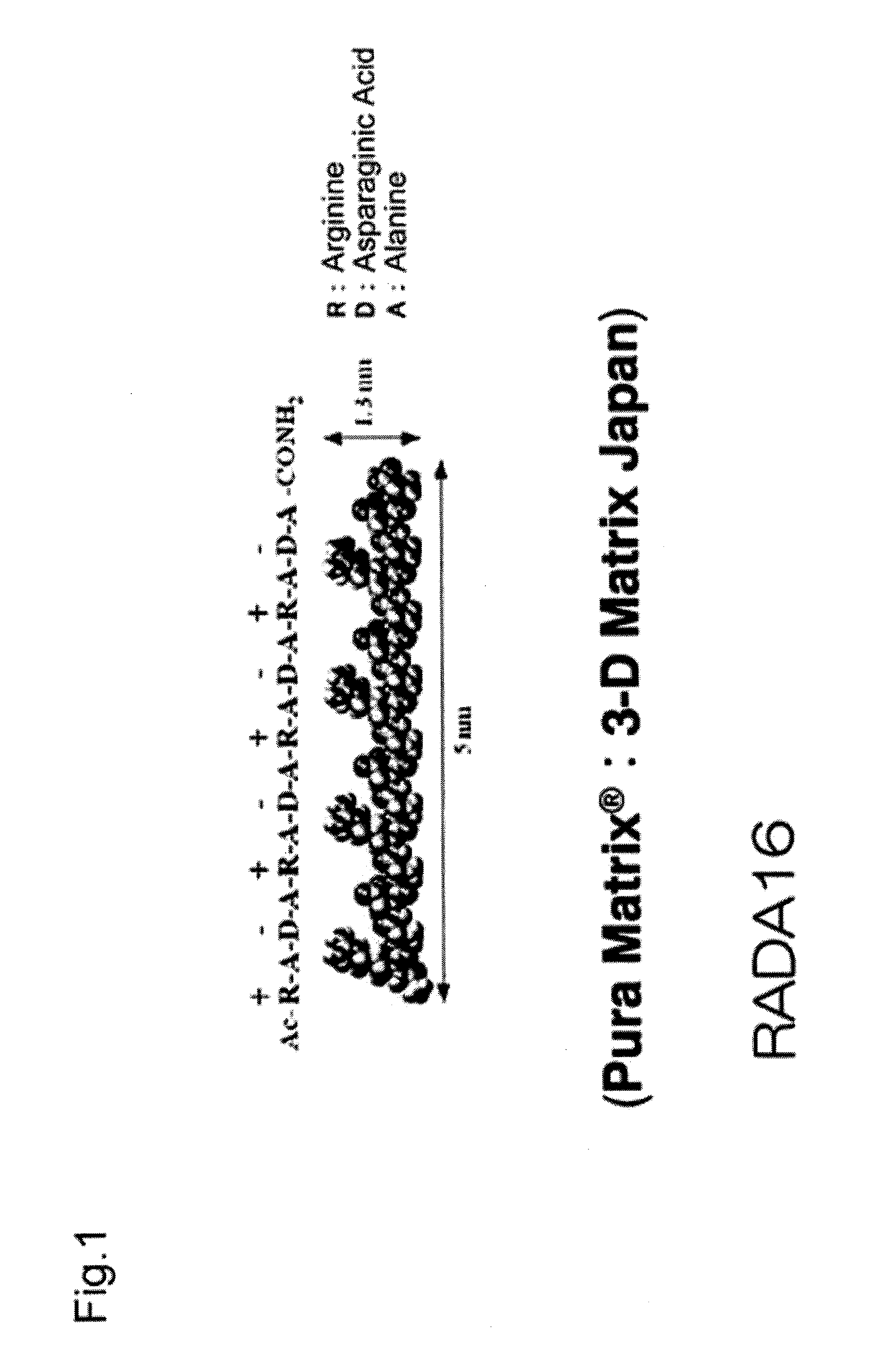 Method for producing artificial skin