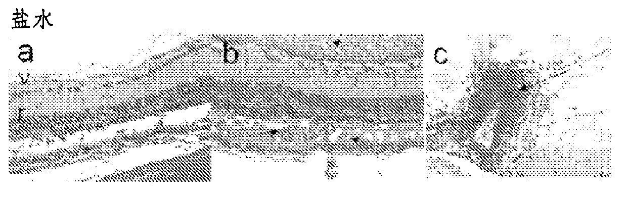Compounds for the treatment/prevention of ocular inflammatory diseases