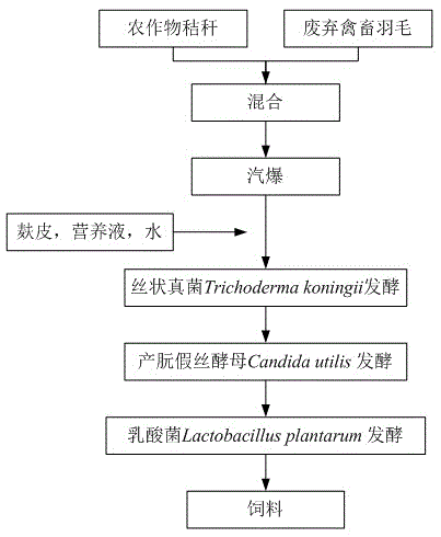 A kind of preparation method of feed