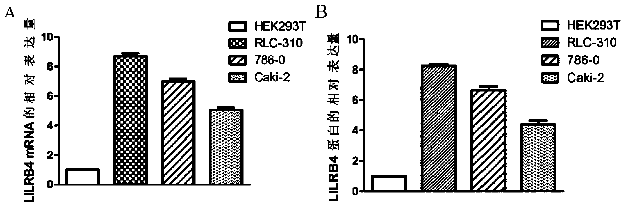 Renal clear cell carcinoma related biomarkers and their application