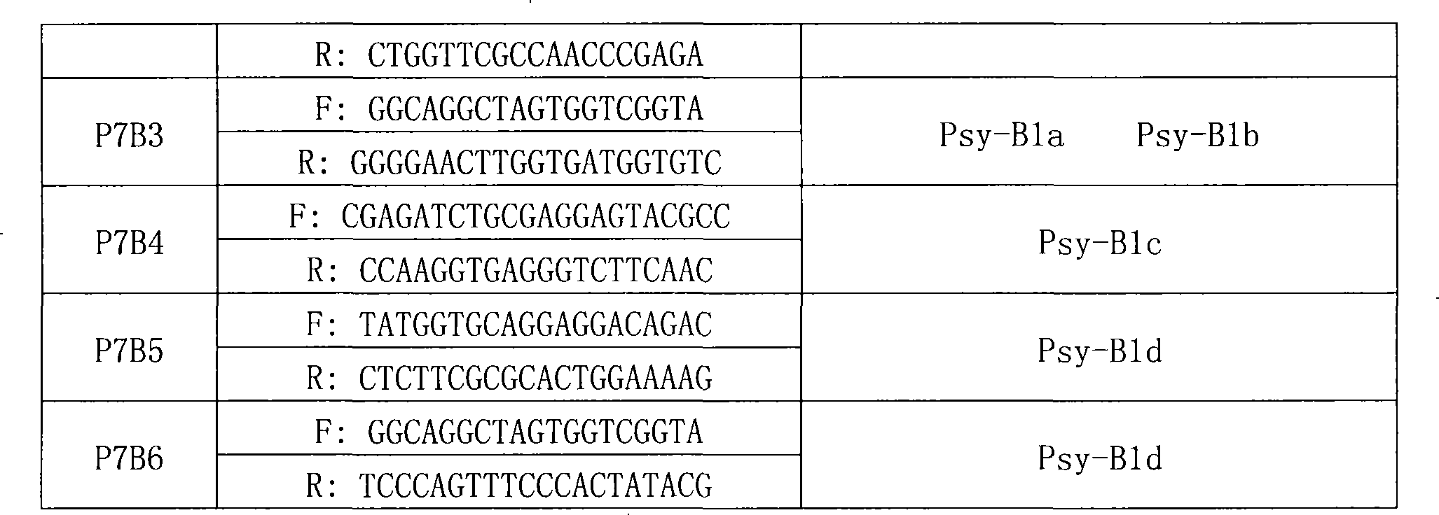 Protein relevant to content and trait of wheat flavochrome, encoding gene and applications thereof