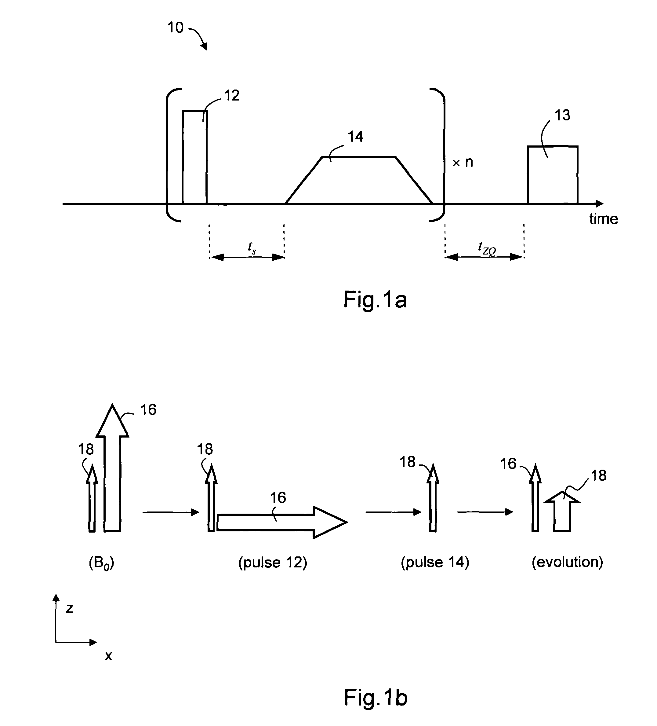 Method, apparatus and system for magnetic resonance analysis based on water magnetization transferred from other molecules