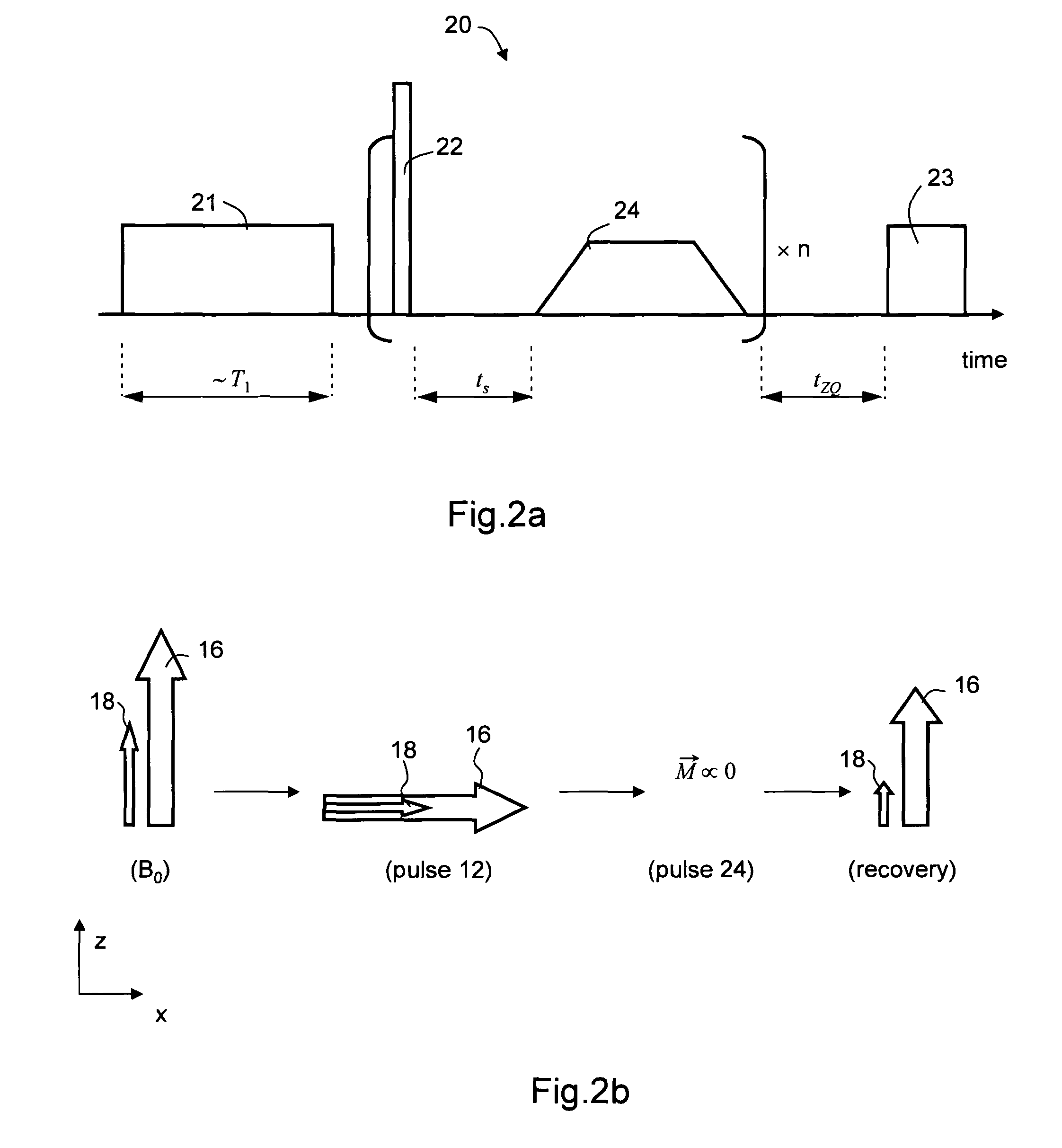 Method, apparatus and system for magnetic resonance analysis based on water magnetization transferred from other molecules