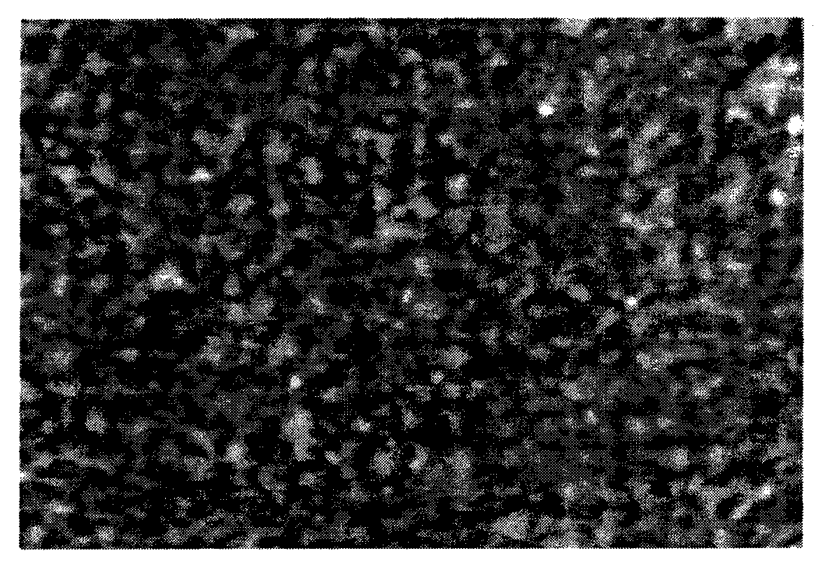 Method for preparing Ni cementing WC base cemented carbide