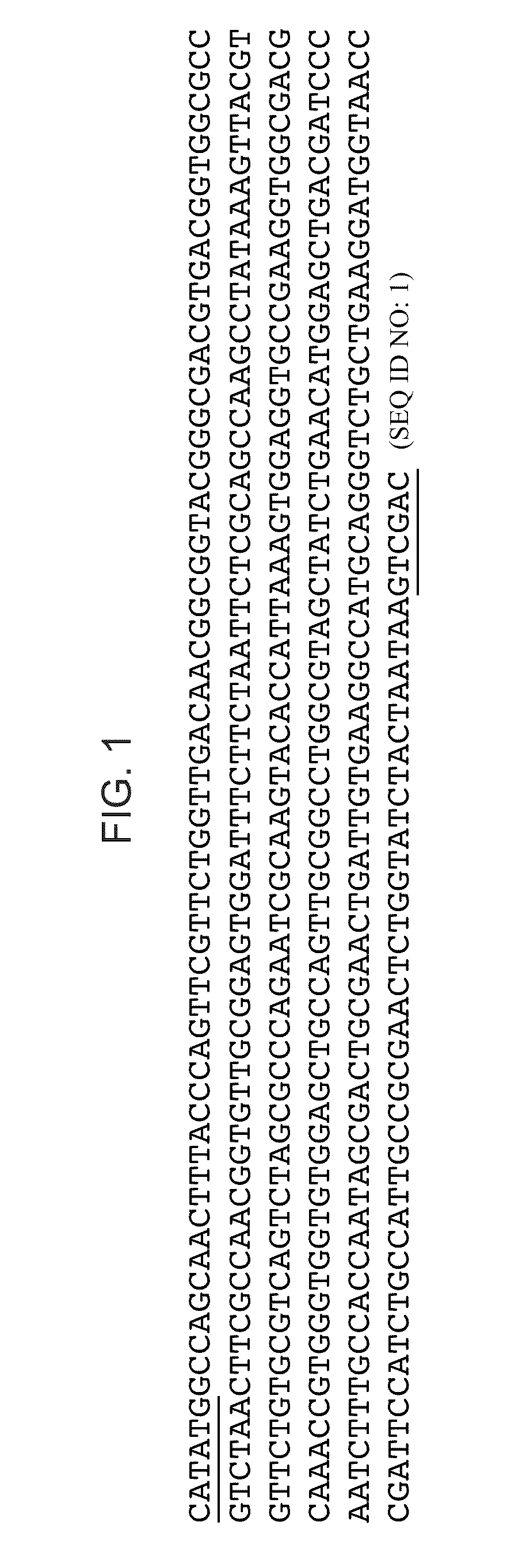 Cell-free synthesis of virus like particles