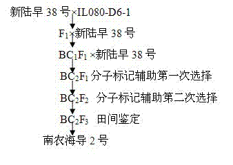 Molecular breeding method for improving cotton fiber length, fiber strength, and micronaire value