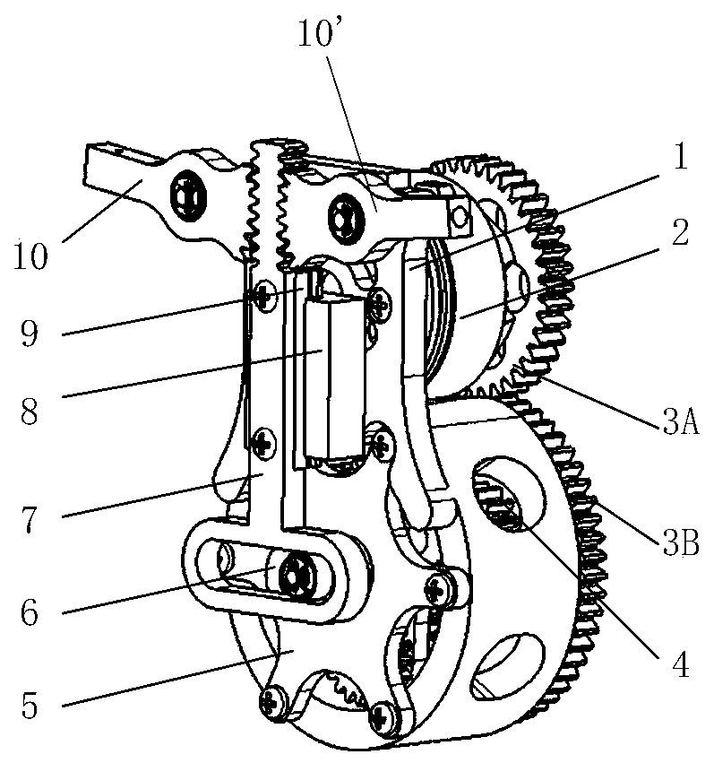 Gear rack pair flapping wing driving mechanism based on externally-meshed planetary gear reducer