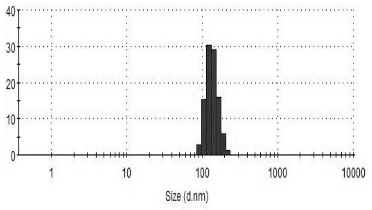 Decitabine nanocarrier and its application in the preparation of tumor fluorescence imaging agent