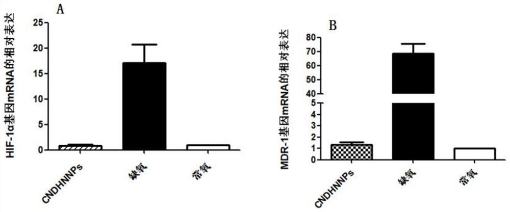 Decitabine nanocarrier and its application in the preparation of tumor fluorescence imaging agent