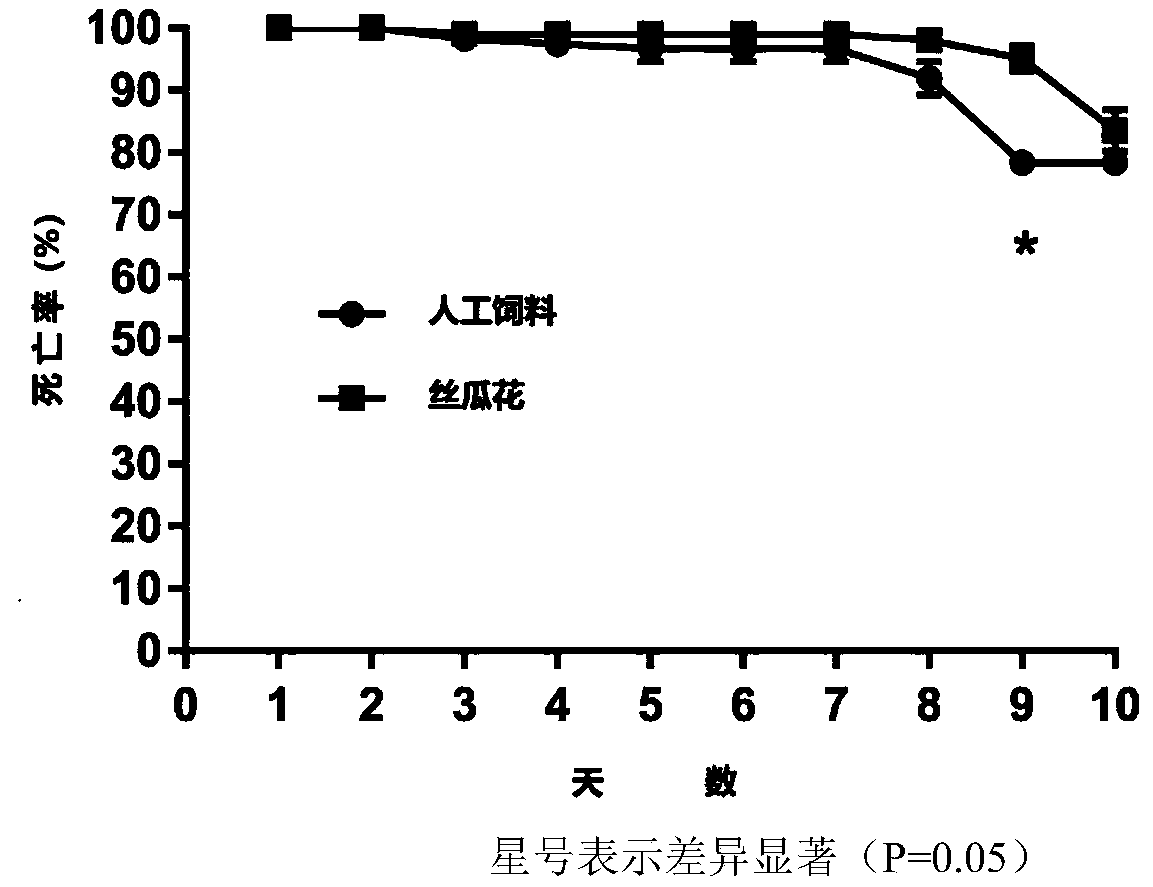 Preparation of haptoncus luteolus artificial diet and feeding method of haptoncus luteolus