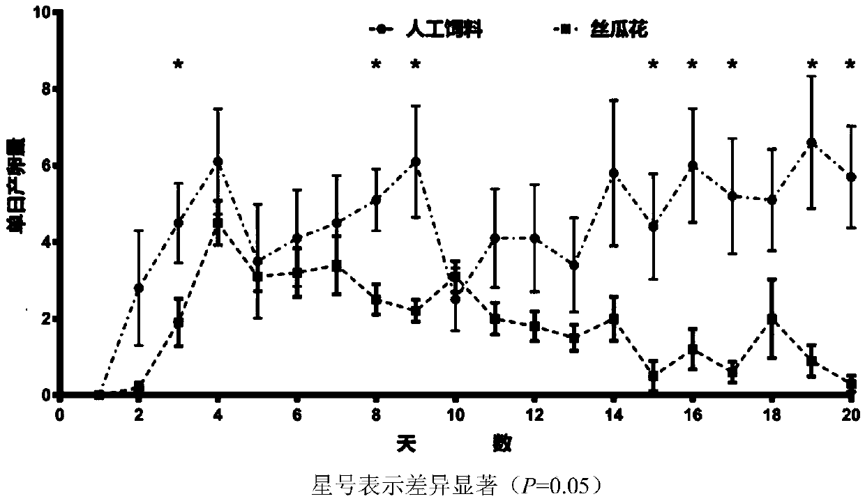 Preparation of haptoncus luteolus artificial diet and feeding method of haptoncus luteolus