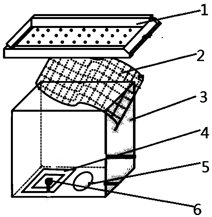 Preparation of haptoncus luteolus artificial diet and feeding method of haptoncus luteolus