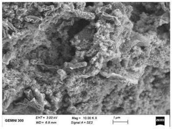 Method for coupling and passivating nano zero-valent iron system by using reinforced iron reducing bacteria