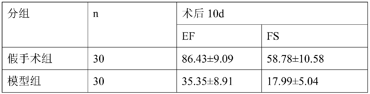 Nutrition supporting agent as well as preparation method and application thereof