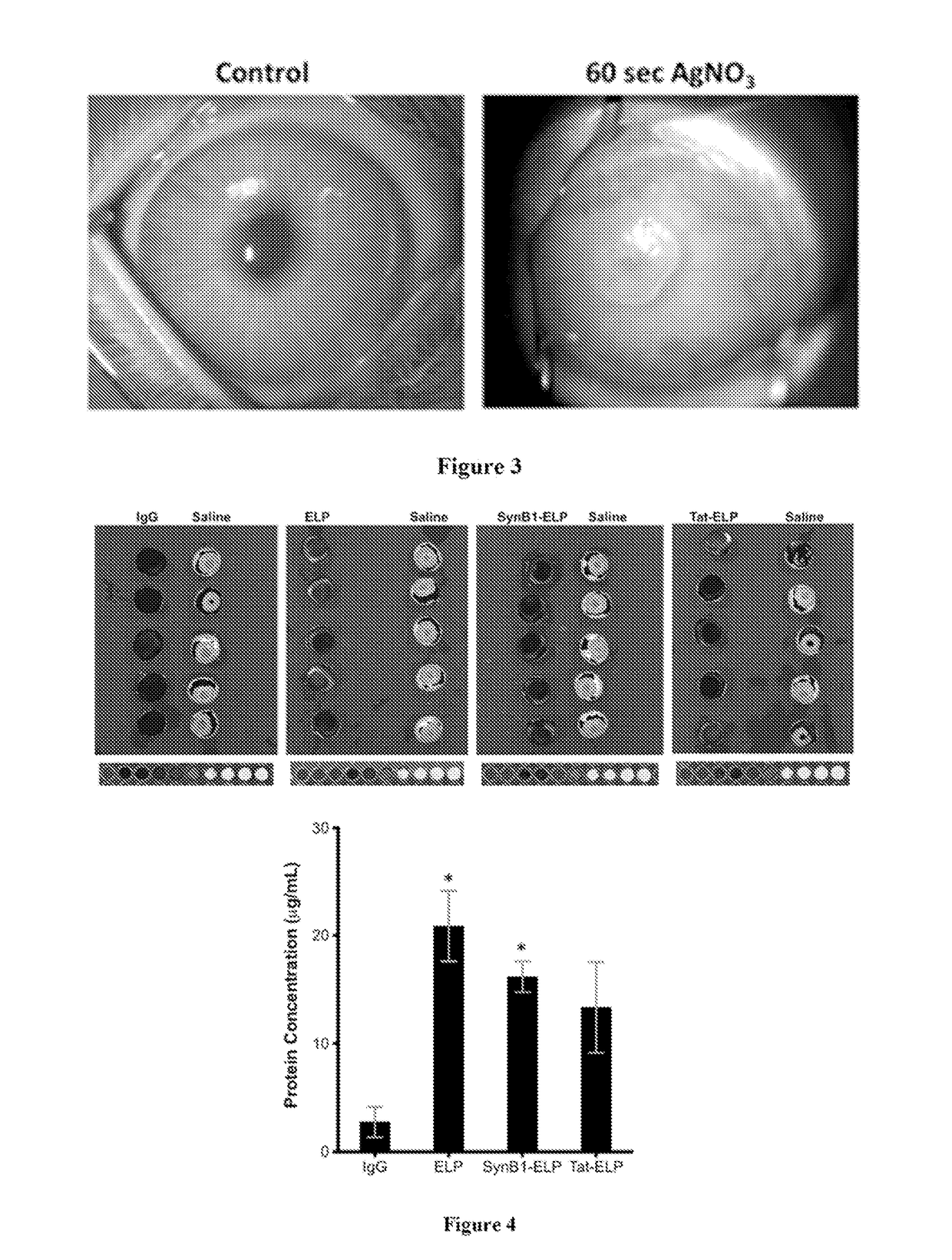 Ocular Compositions and Methods Thereof