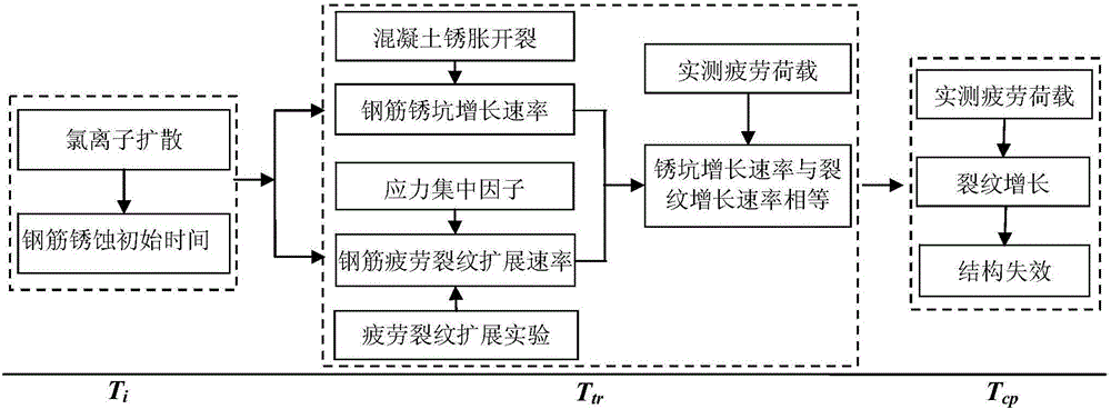 Method for evaluating fatigue life of aged reinforced concrete bridge