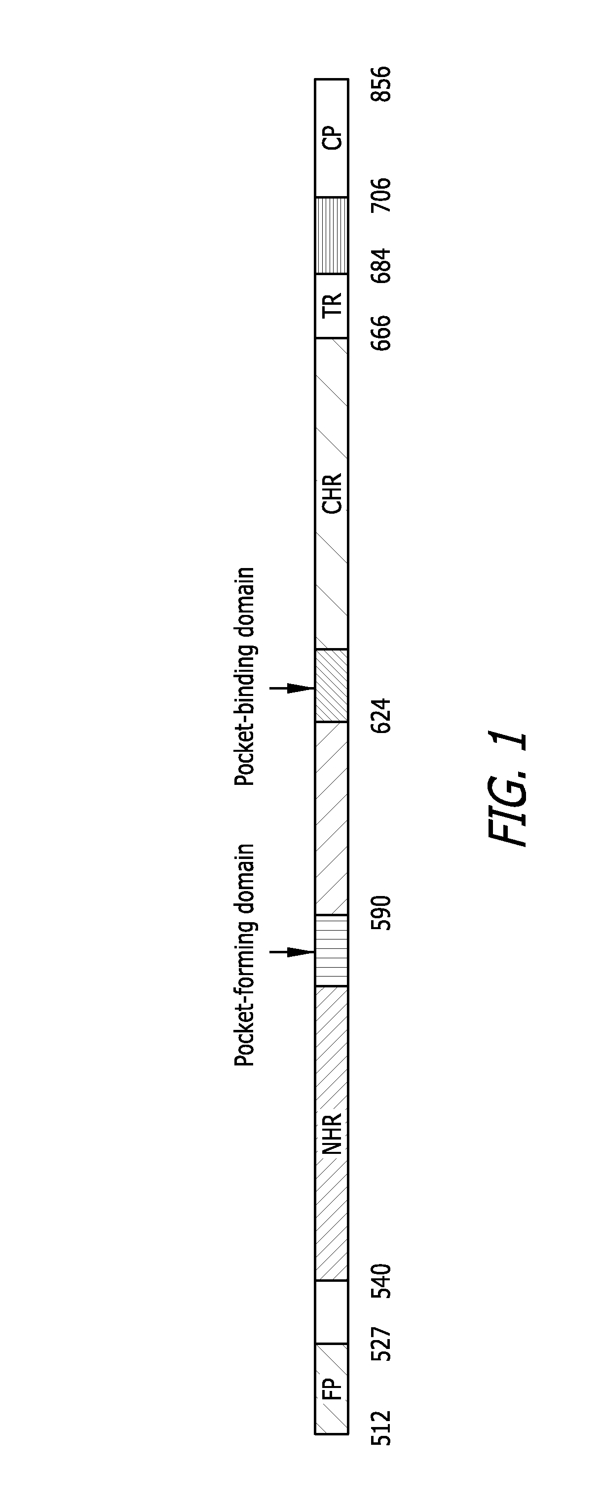Trimeric HIV fusion inhibitors for treating or preventing HIV infection