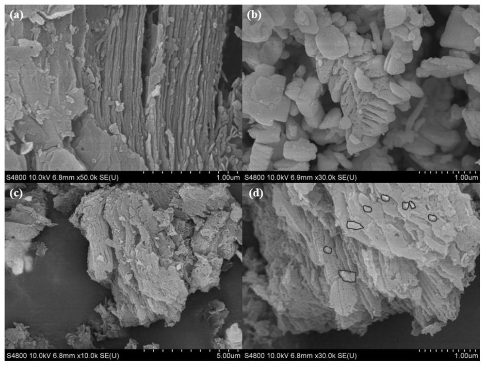 Preparation method of bismuth vanadate doped graphite phase carbon nitride nanosheet photocatalyst