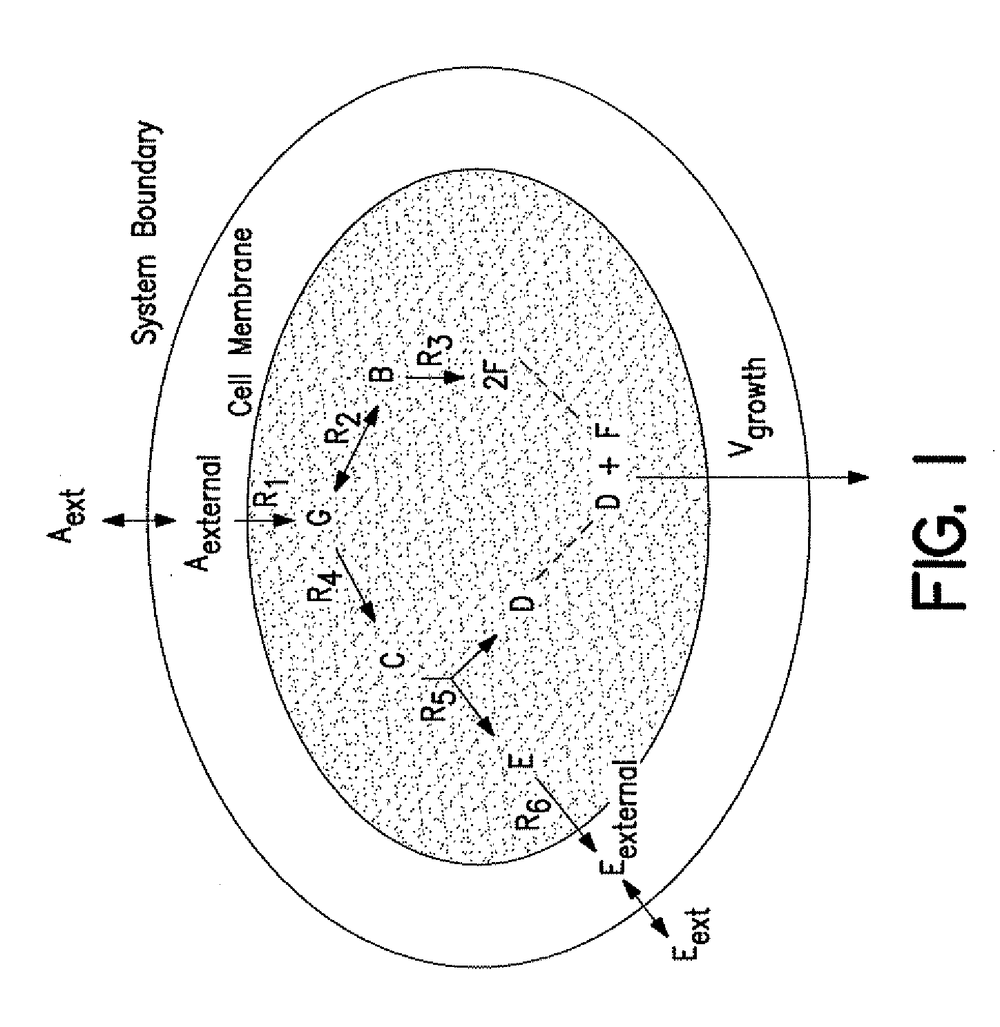 Compositions and Methods for Modeling Saccharomyces cerevisiae Metabolism