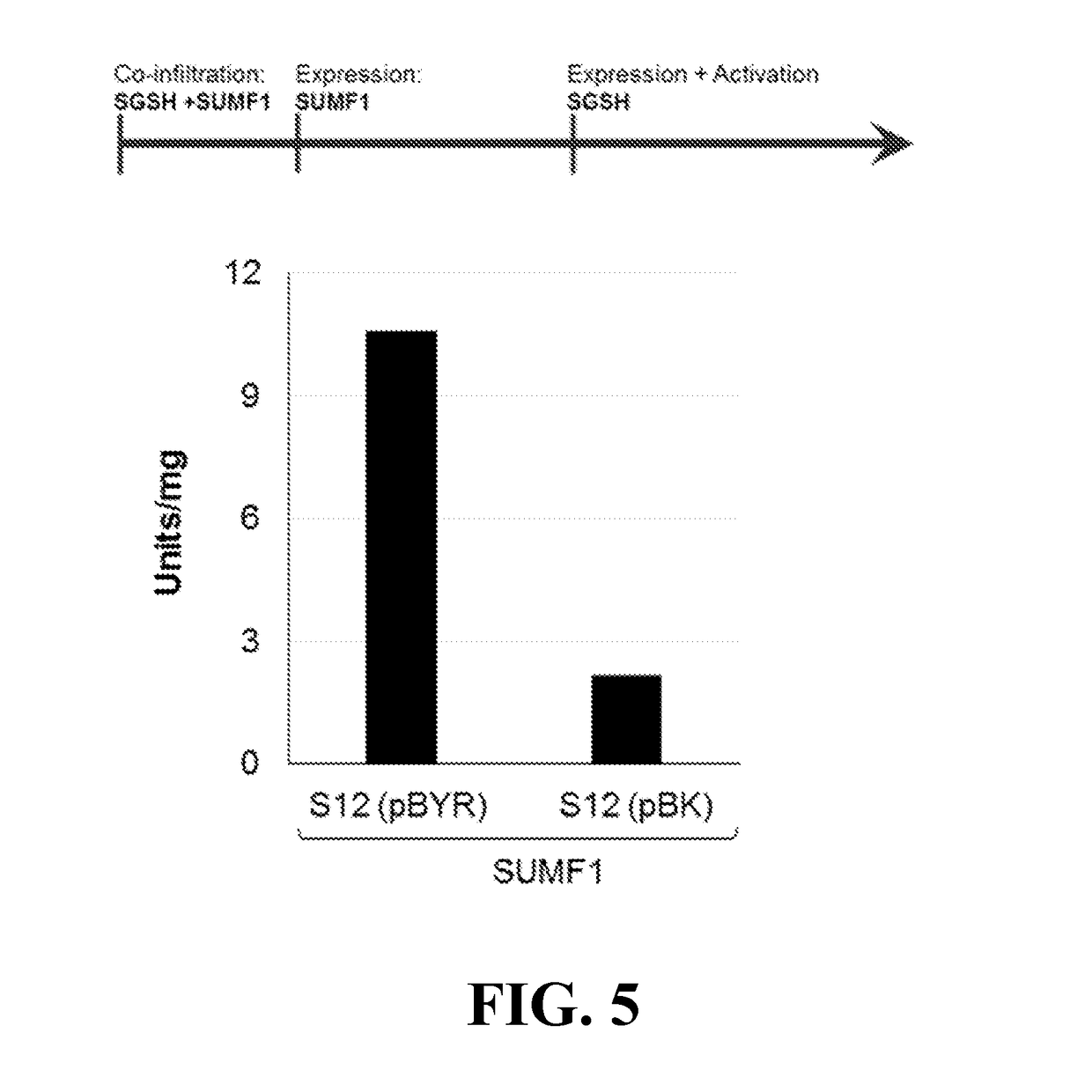 Materials and methods for treating disorders associated with sulfatase enzymes