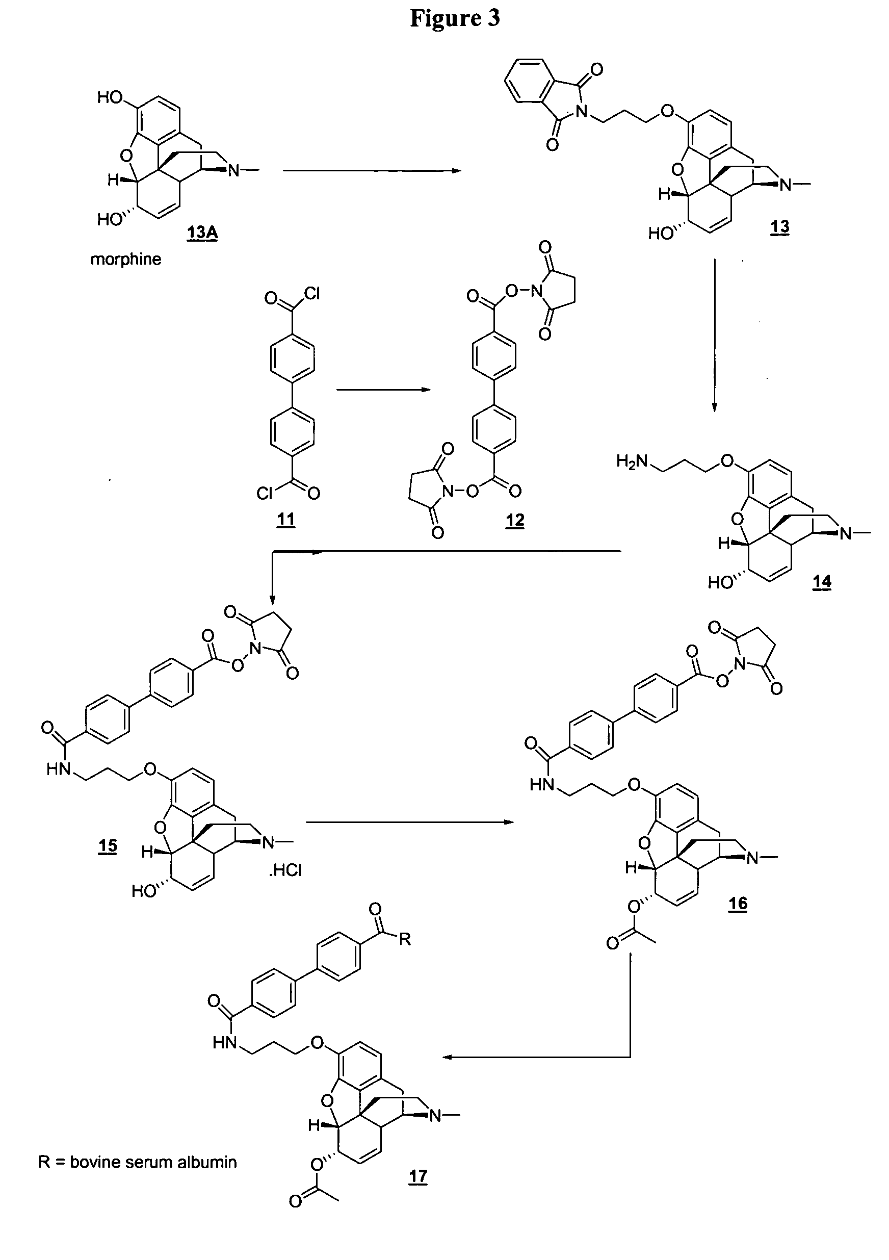 6-Monoacetylmorphine derivatives useful in immunoassay