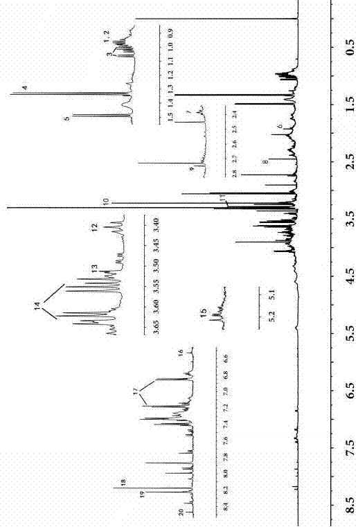 Construction method of 1H-NMR (1 hydrogen-nuclear magnetic resonance) fingerprint spectrum of hippocampus, and application