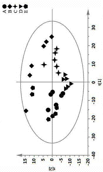 Construction method of 1H-NMR (1 hydrogen-nuclear magnetic resonance) fingerprint spectrum of hippocampus, and application