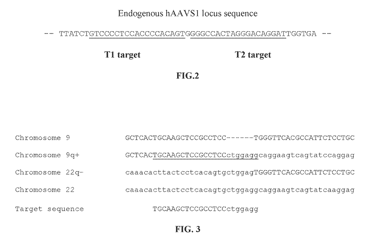 Methods and compositions for selectively eliminating cells of interest