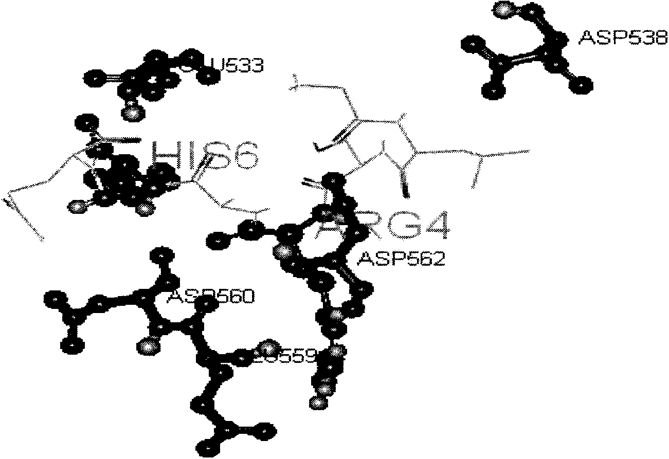 TfR (transferrin receptor) specific binding peptide and application thereof