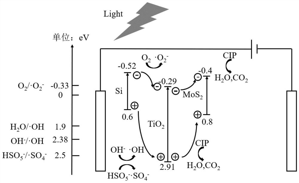 MoS2/TiO2/Si pyramid array photoelectric catalyst and preparation method thereof