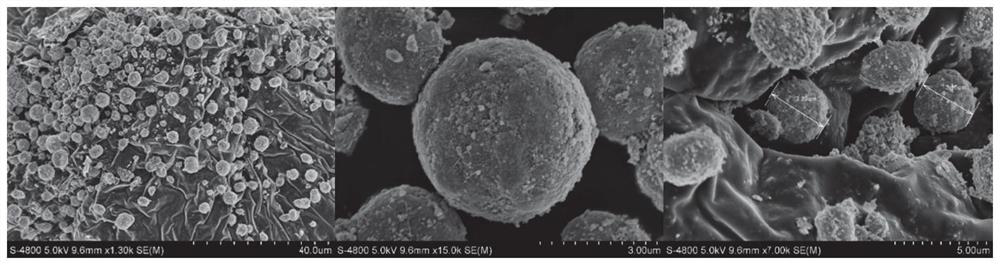 Spherical bismuth vanadate/black phosphorus composite photocatalyst and preparation method thereof