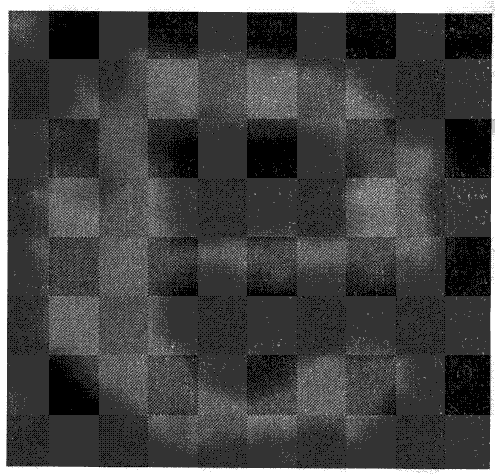 Method for preparing protein chip by in-situ synthesis