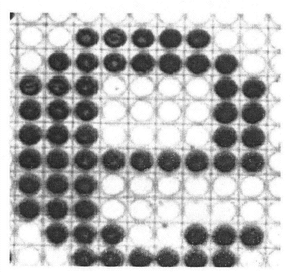 Method for preparing protein chip by in-situ synthesis