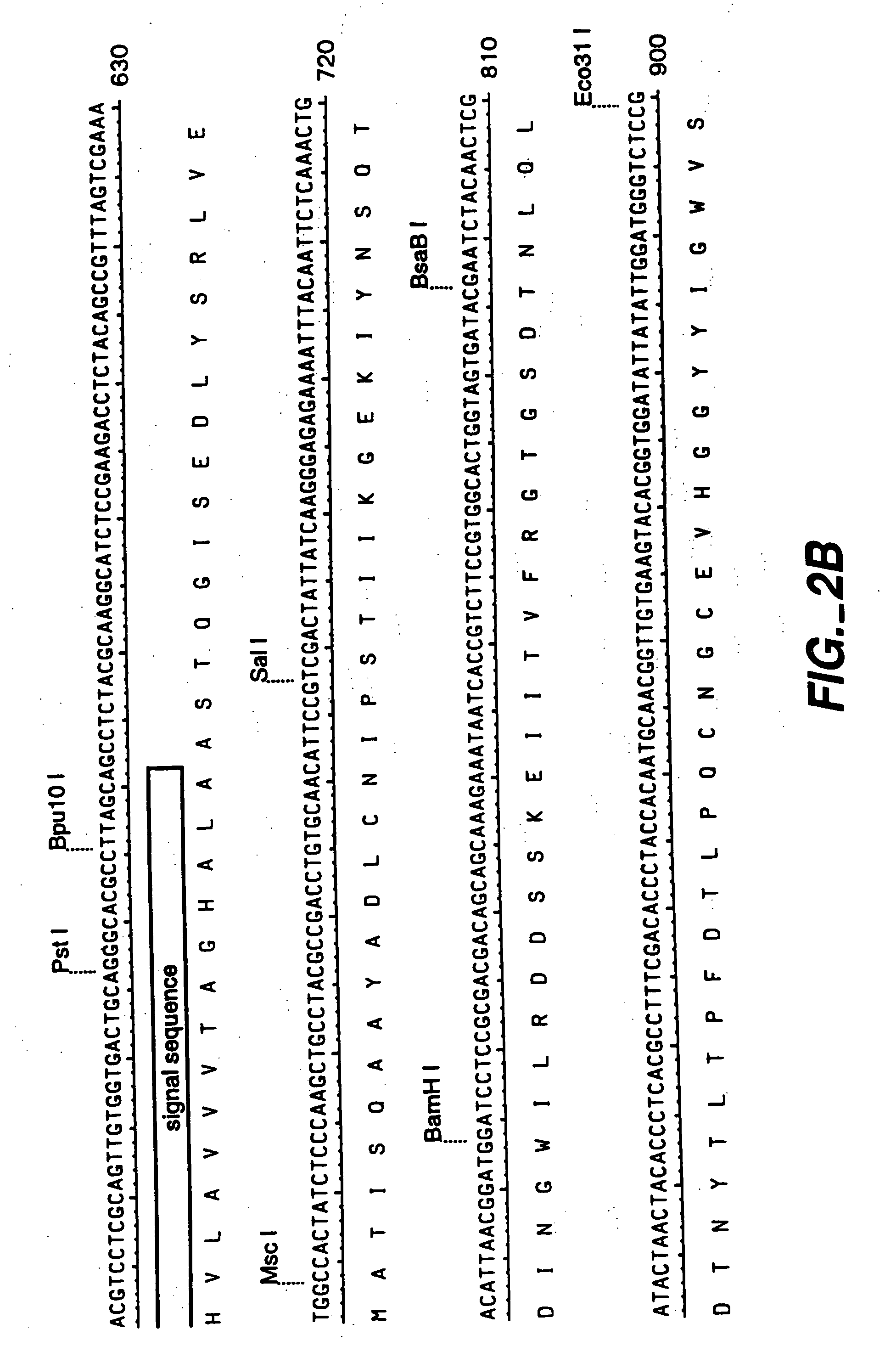 Manipulation of the phenolic acid content and digestibility of plant cell walls by targeted expression of genes encoding cell wall degrading enzymes