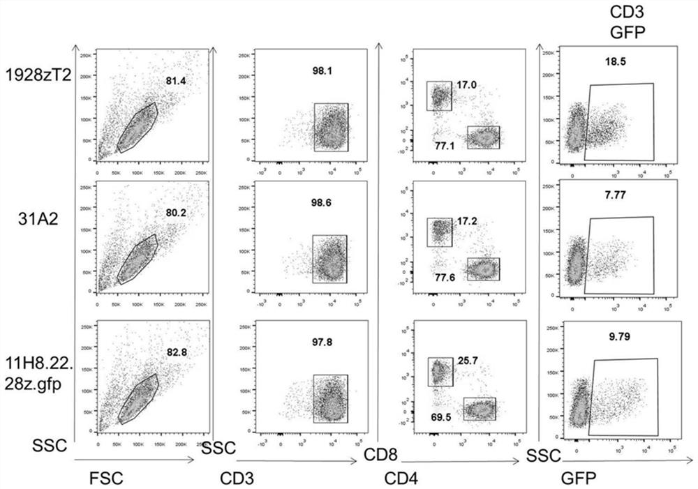 CD19 and CD22 dual-target chimeric antigen receptor and its application