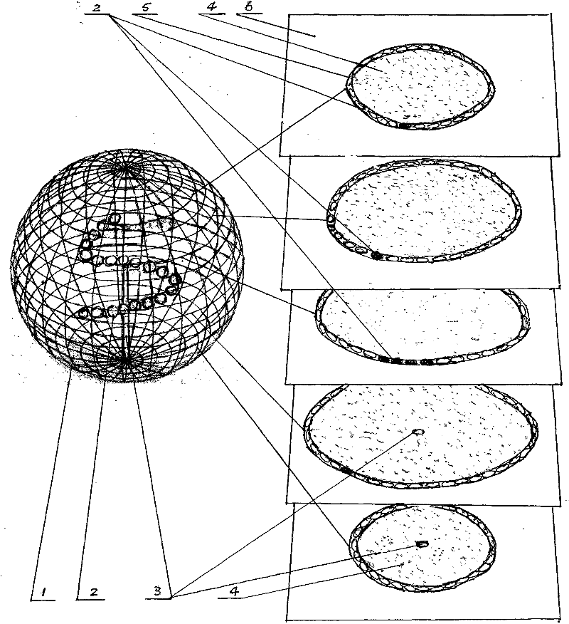 Parabolic LED (Light-Emitting Diode) three-dimensional display shell