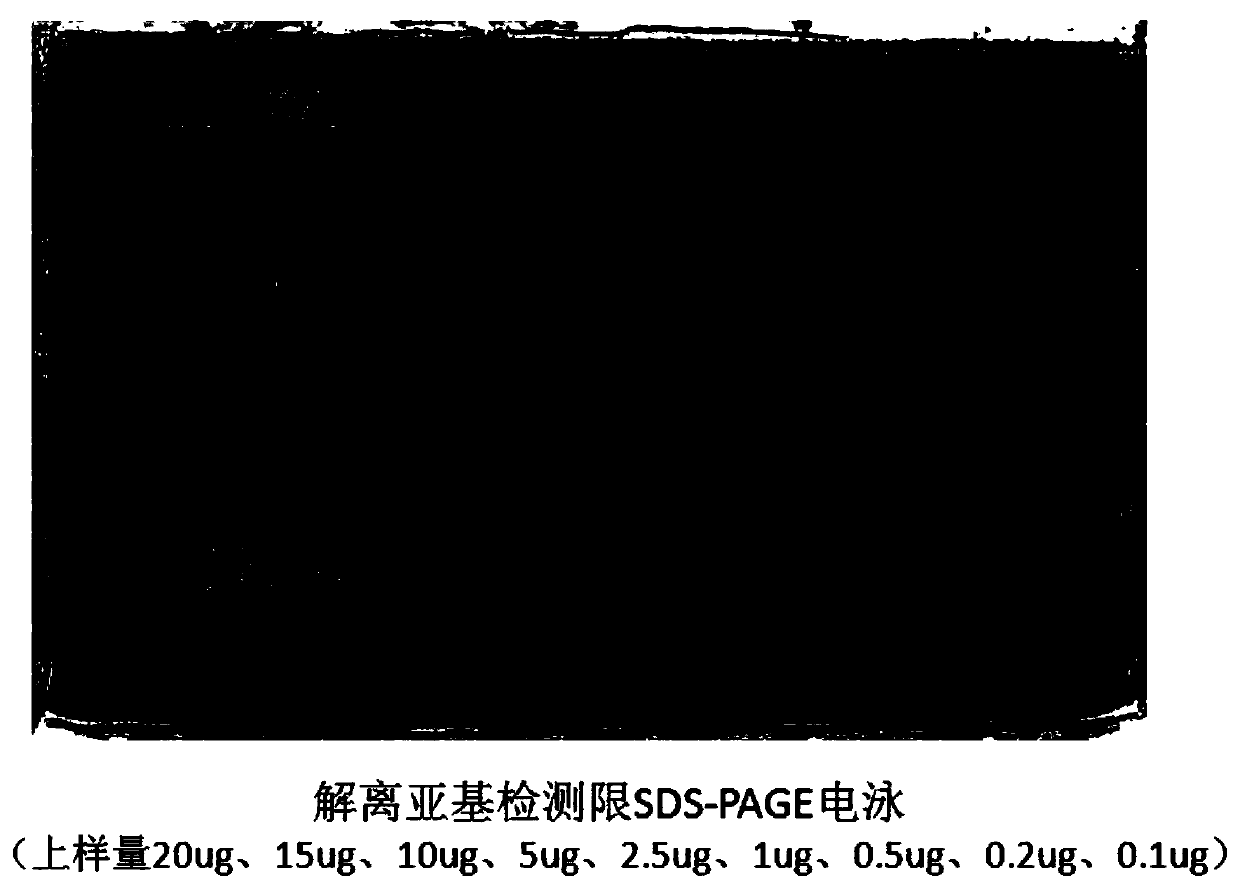 Rh-FSH preparation and preparing method thereof