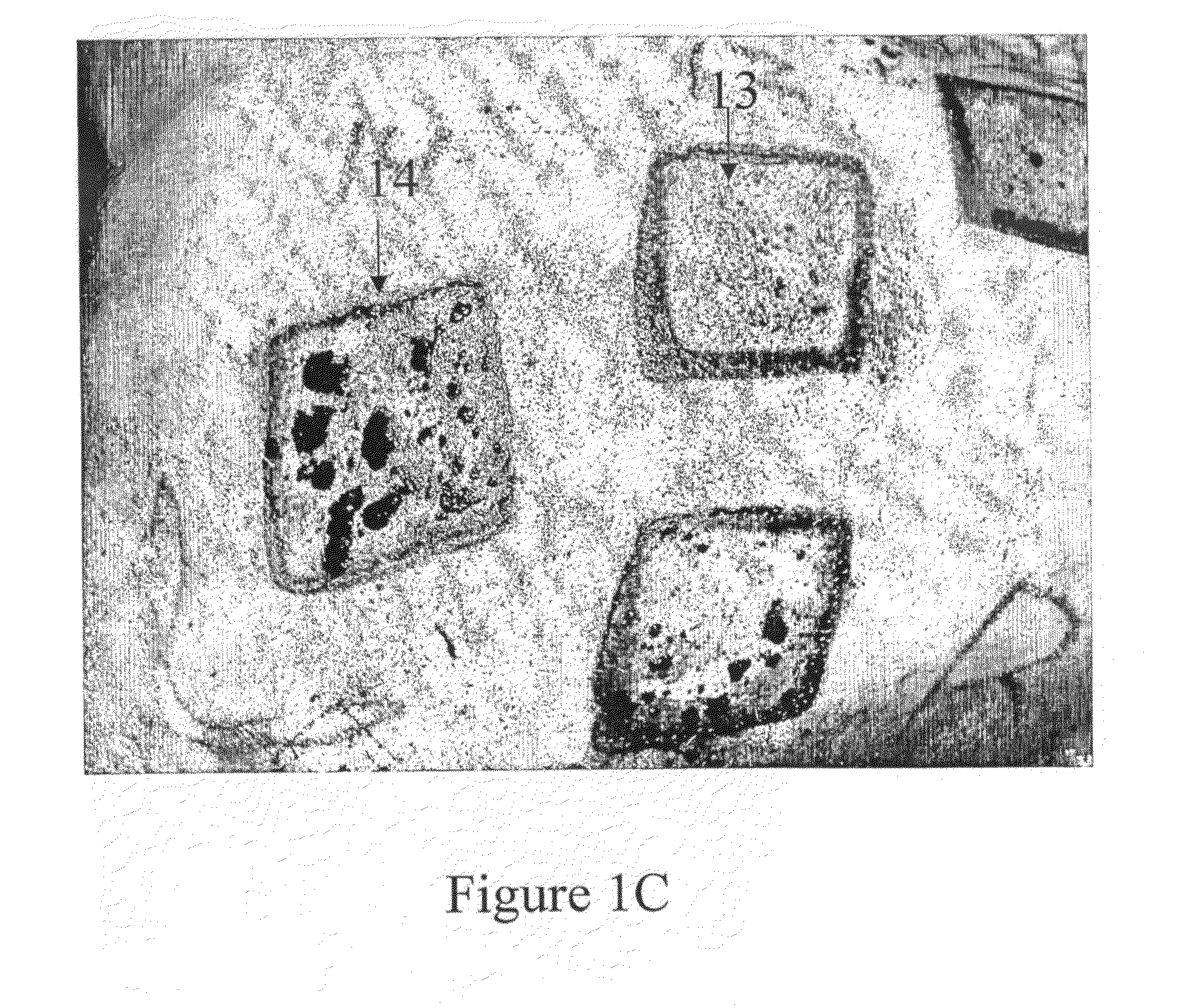 Compositions and methods for dermatological wound healing
