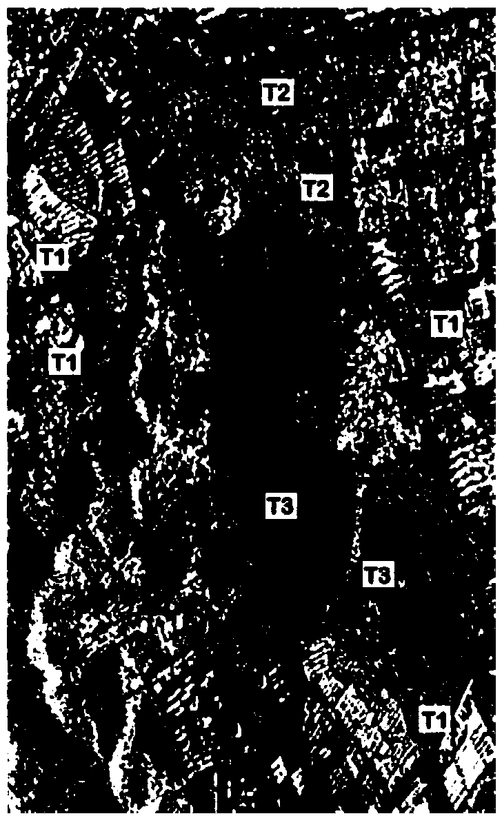 Method and apparatus for detecting variation region of fully polarimetric SAR (Synthetic Aperture Radar) image