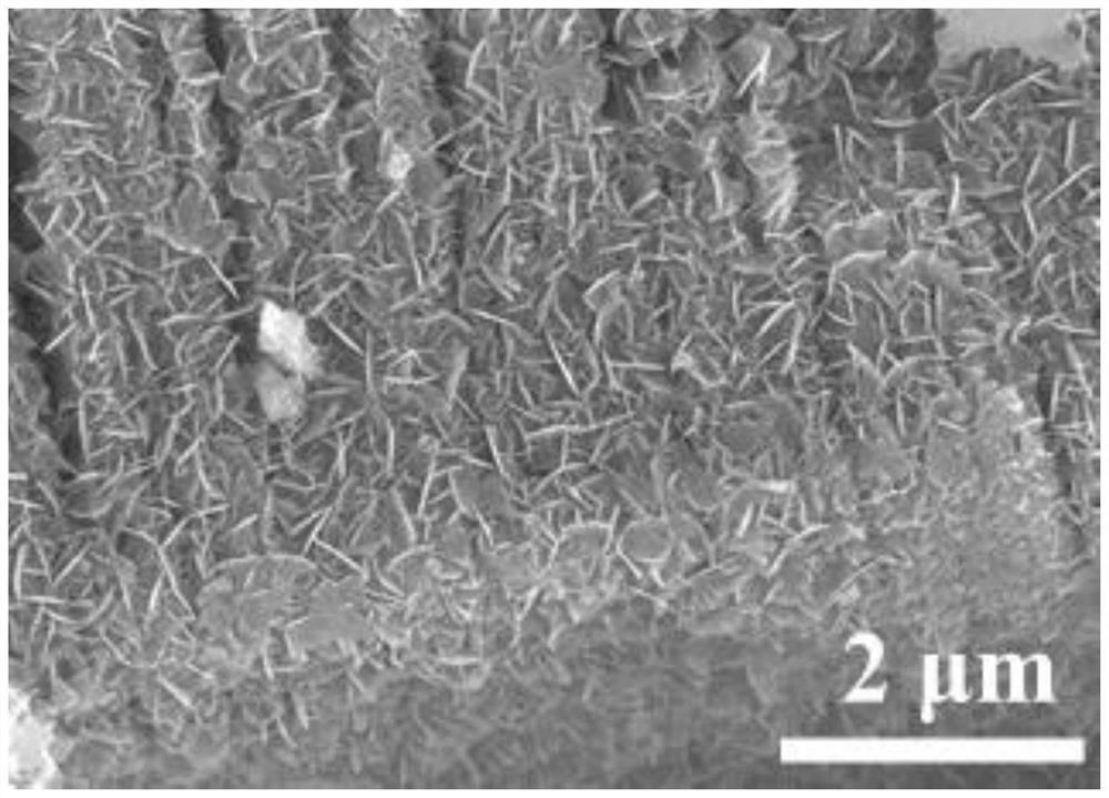 NiTe2/MXene composite material and preparation method and application thereof